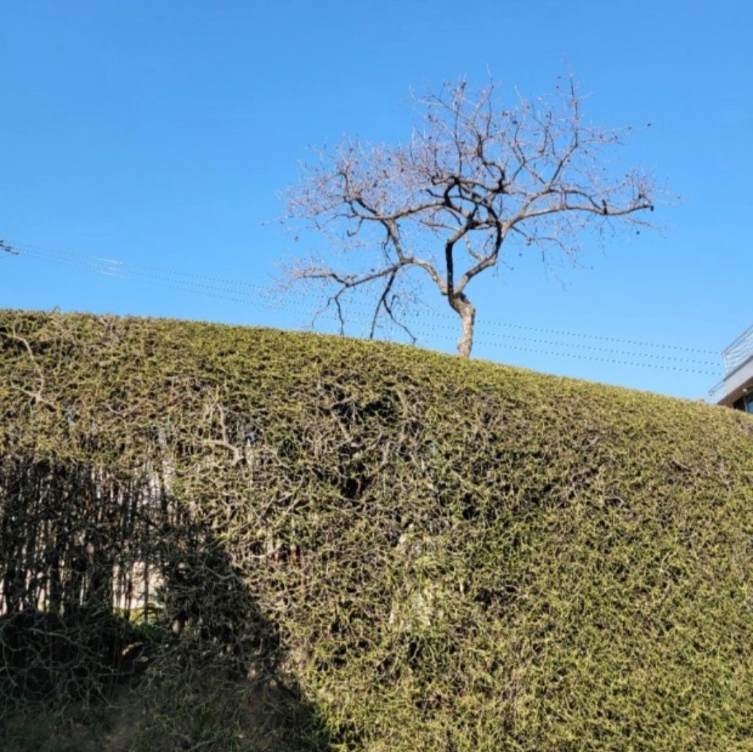 e_08hUd018svc14tl1nl76zotj_bs5d46.jpg?type=e1920_std