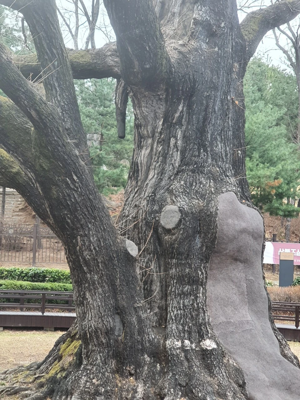 9_c46Ud018svc1p5v7d6x7e65x_bs5d46.jpg?type=e1920_std