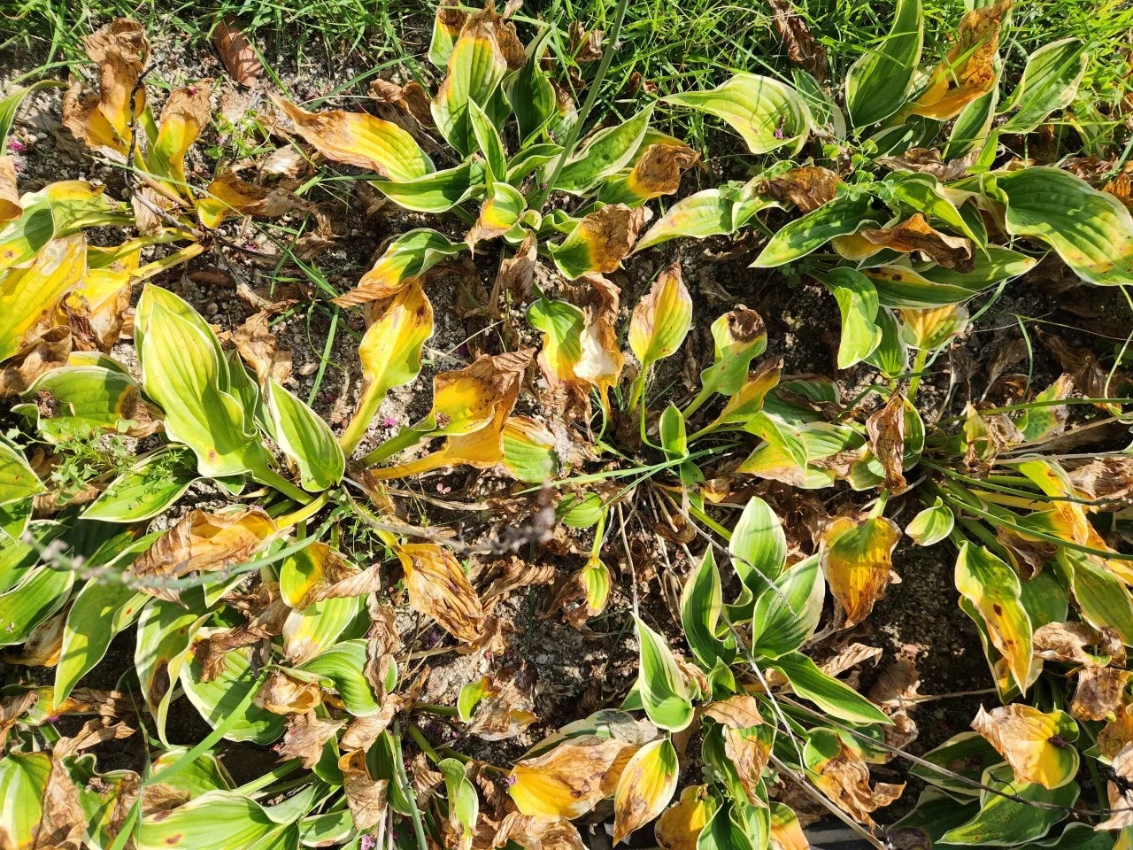 d_68fUd018svc1mn3yixm28xqu_bs5d46.jpg?type=e1920_std