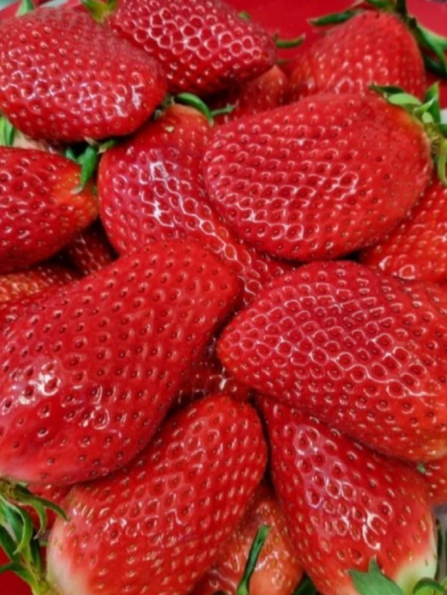 4_2f2Ud018svcwbf9dfm43i1w_bs5d46.jpg?type=e1920_std