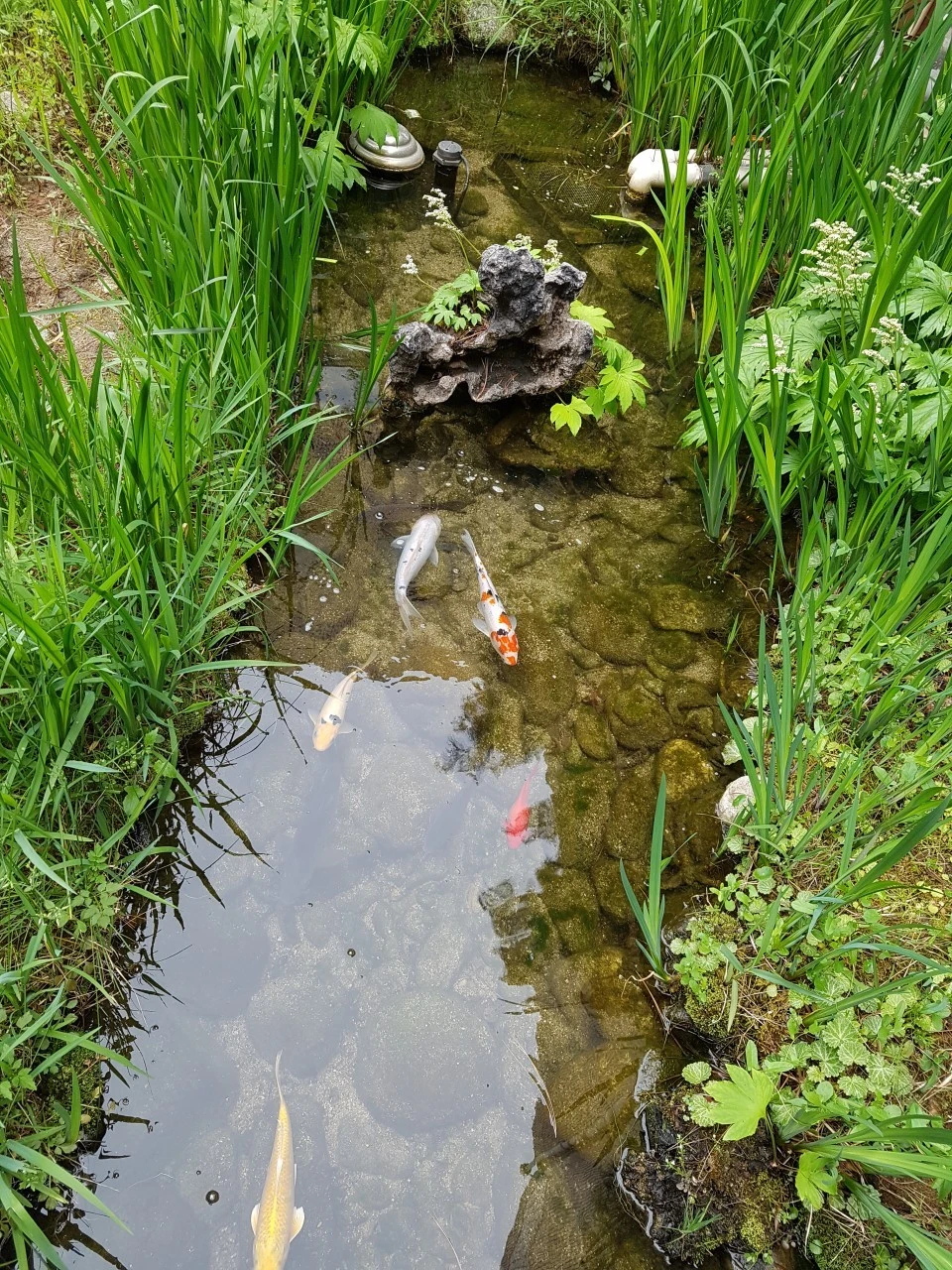 a_5f8Ud018svc41u4aq9n4qyn_bs5d46.jpg?type=e1920_std