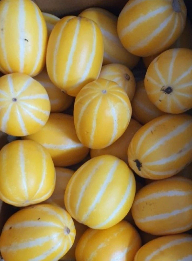 4_2f2Ud018svcg7yb92728nyu_bs5d46.jpg?type=e1920_std