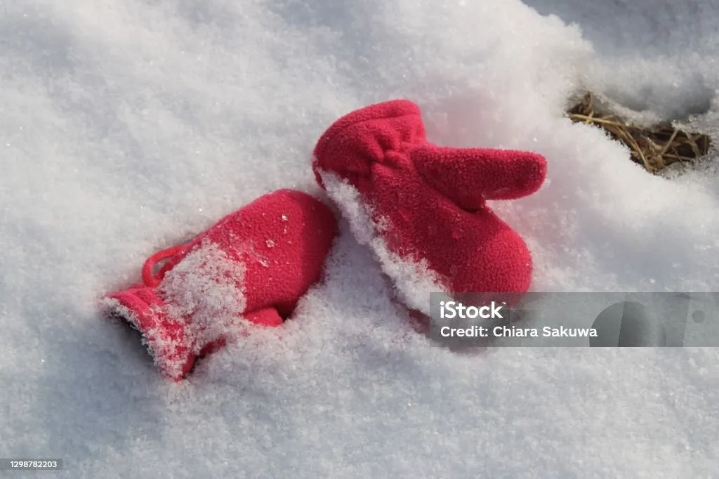 g_240Ud018svc1efzhnc80iff8_bs5d46.jpg?type=e1920_std