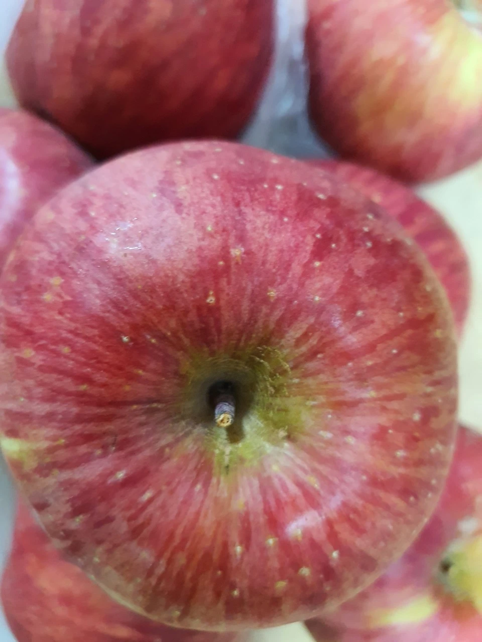 0_2c5Ud018svcsqubq7ptween_bs5d46.jpg?type=e1920_std