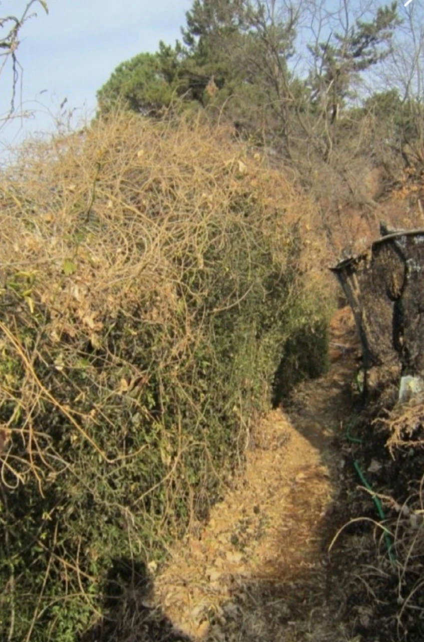 d_j8hUd018svccqt6yizsq4na_bs5d46.jpg?type=e1920_std