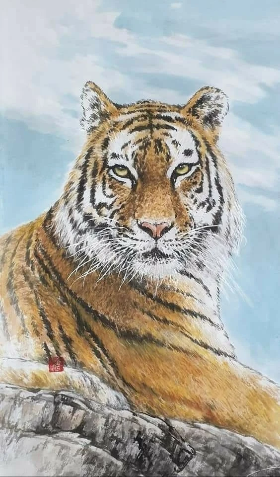 3_92eUd018svc1x5alca3lx298_bs5d46.jpg?type=e1920_std