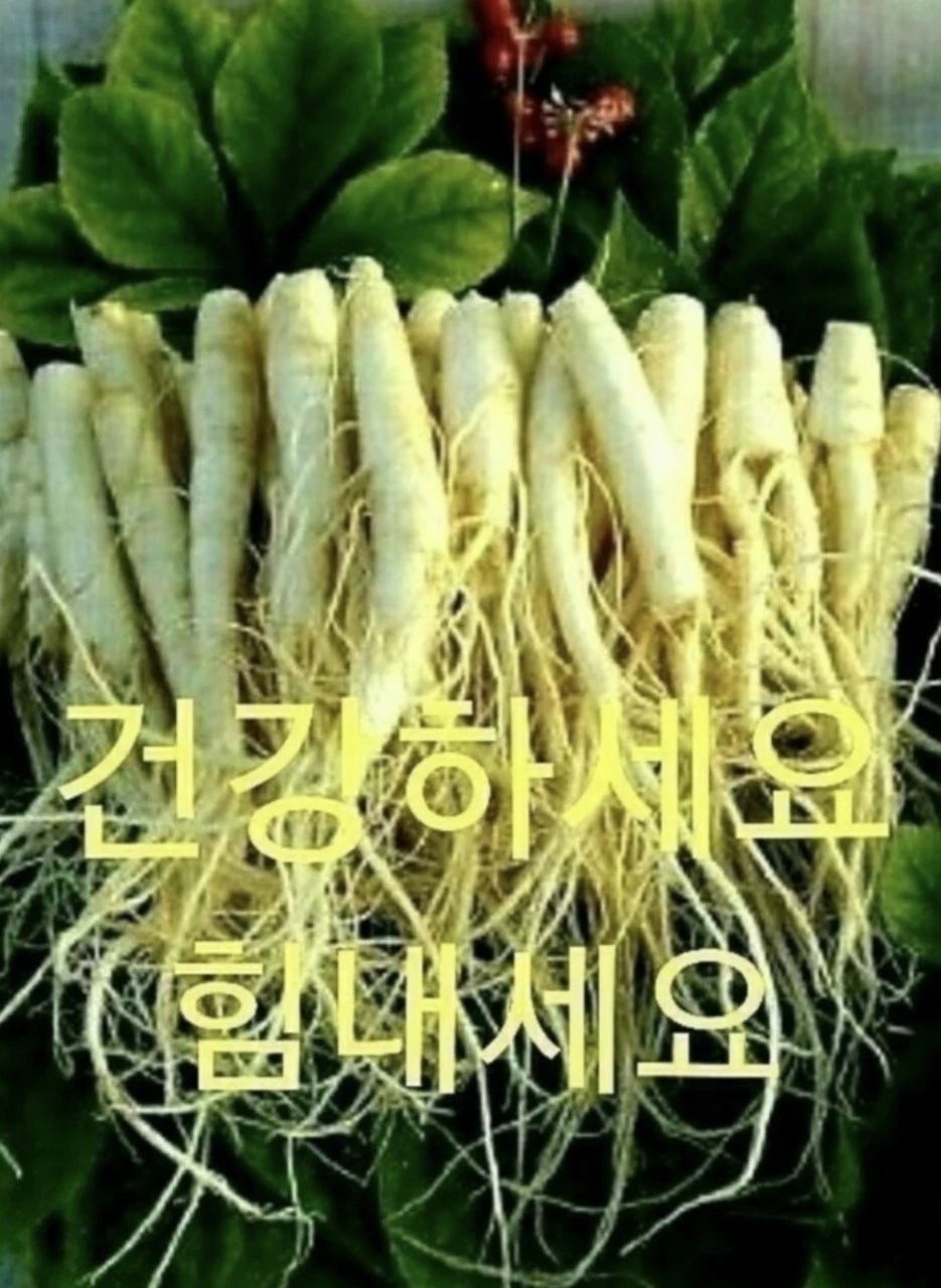 6_78cUd018svc1fr2q28yaey1a_bs5d46.jpg?type=e1920_std