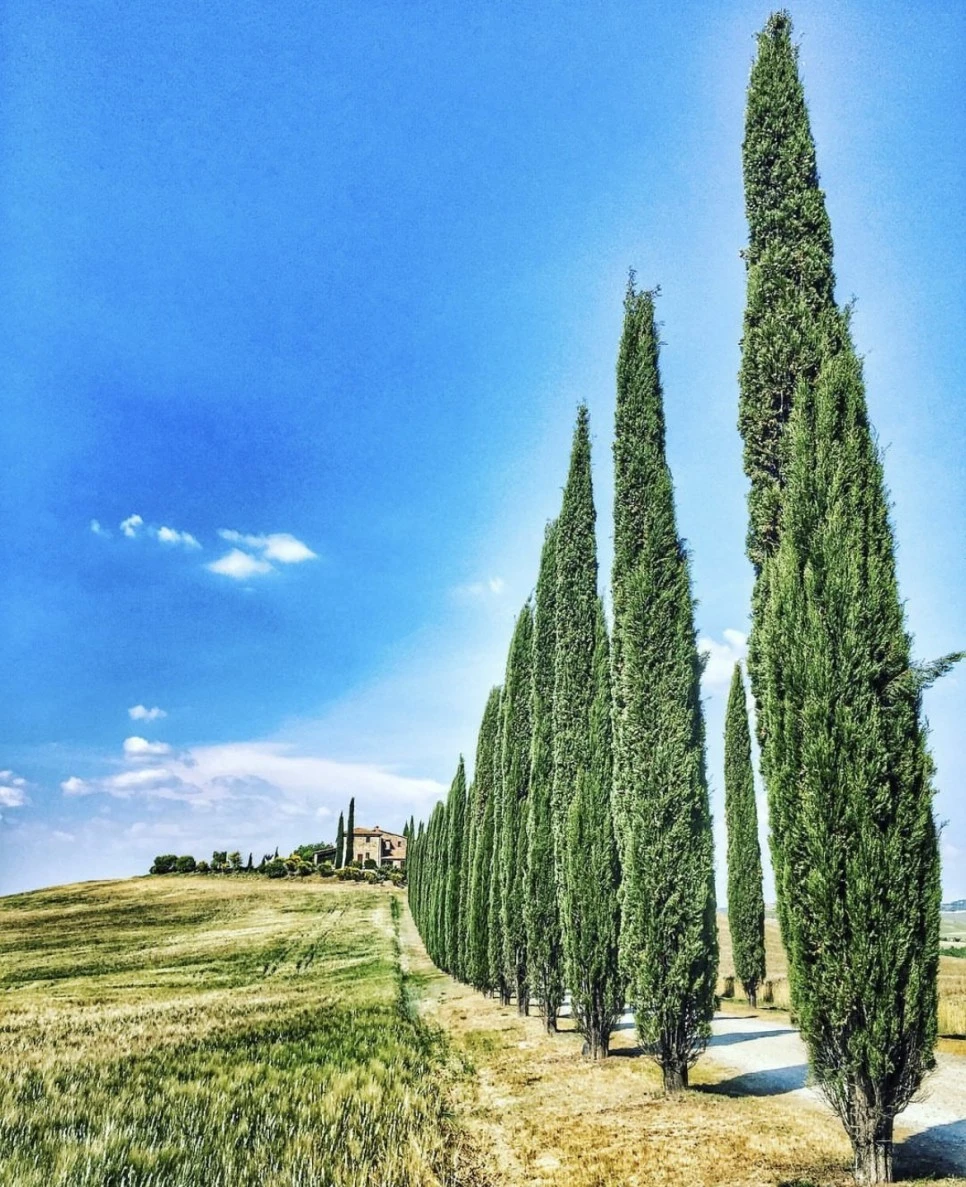 KakaoTalk_Photo_2023-08-17-09-35-16.jpeg?type=w966