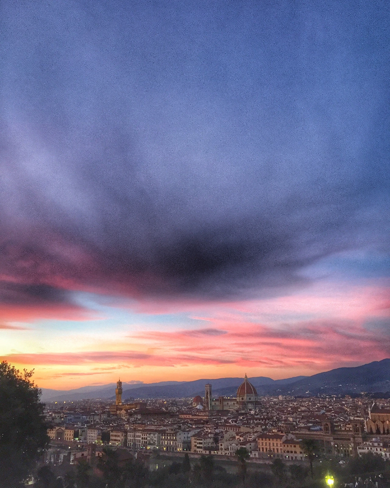 IMG_7856 복사본.JPG