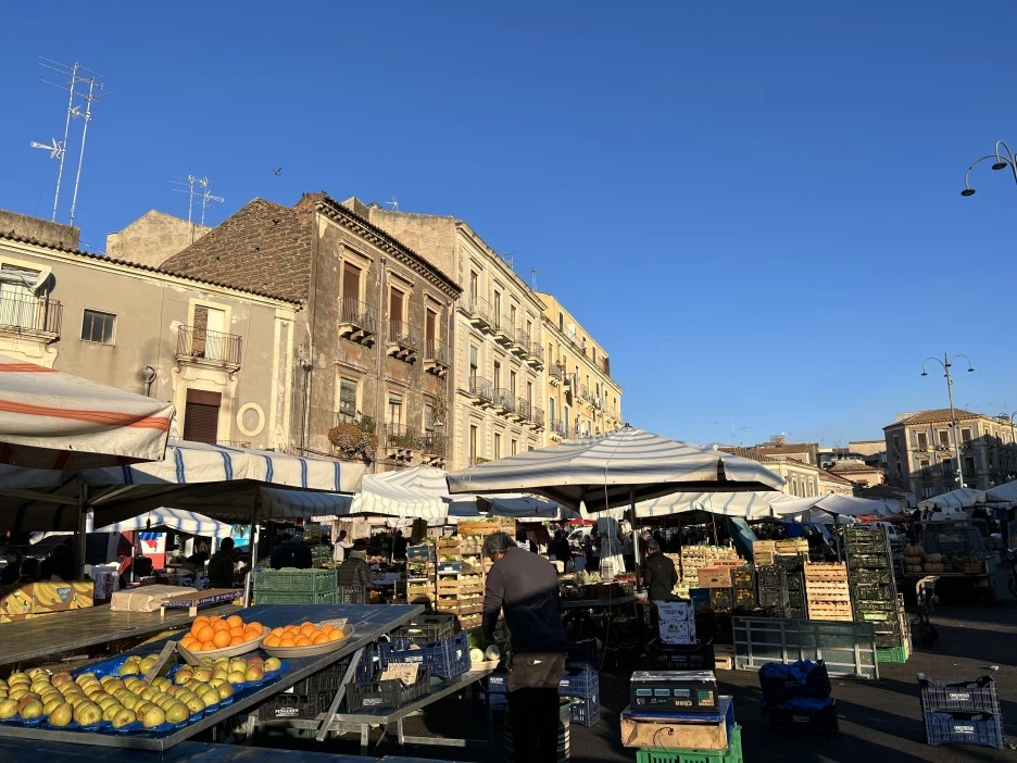 KakaoTalk_Photo_2023-08-28-09-46-02_005.jpeg?type=w1