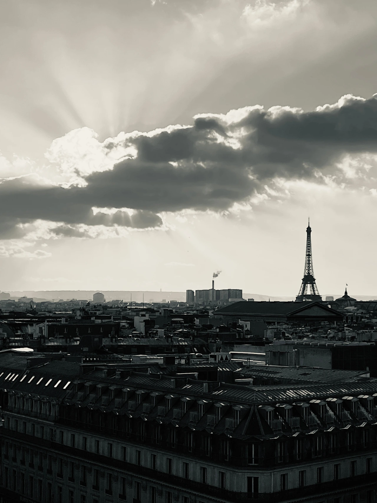 KakaoTalk_Photo_2025-02-11-07-25-01 001.jpeg