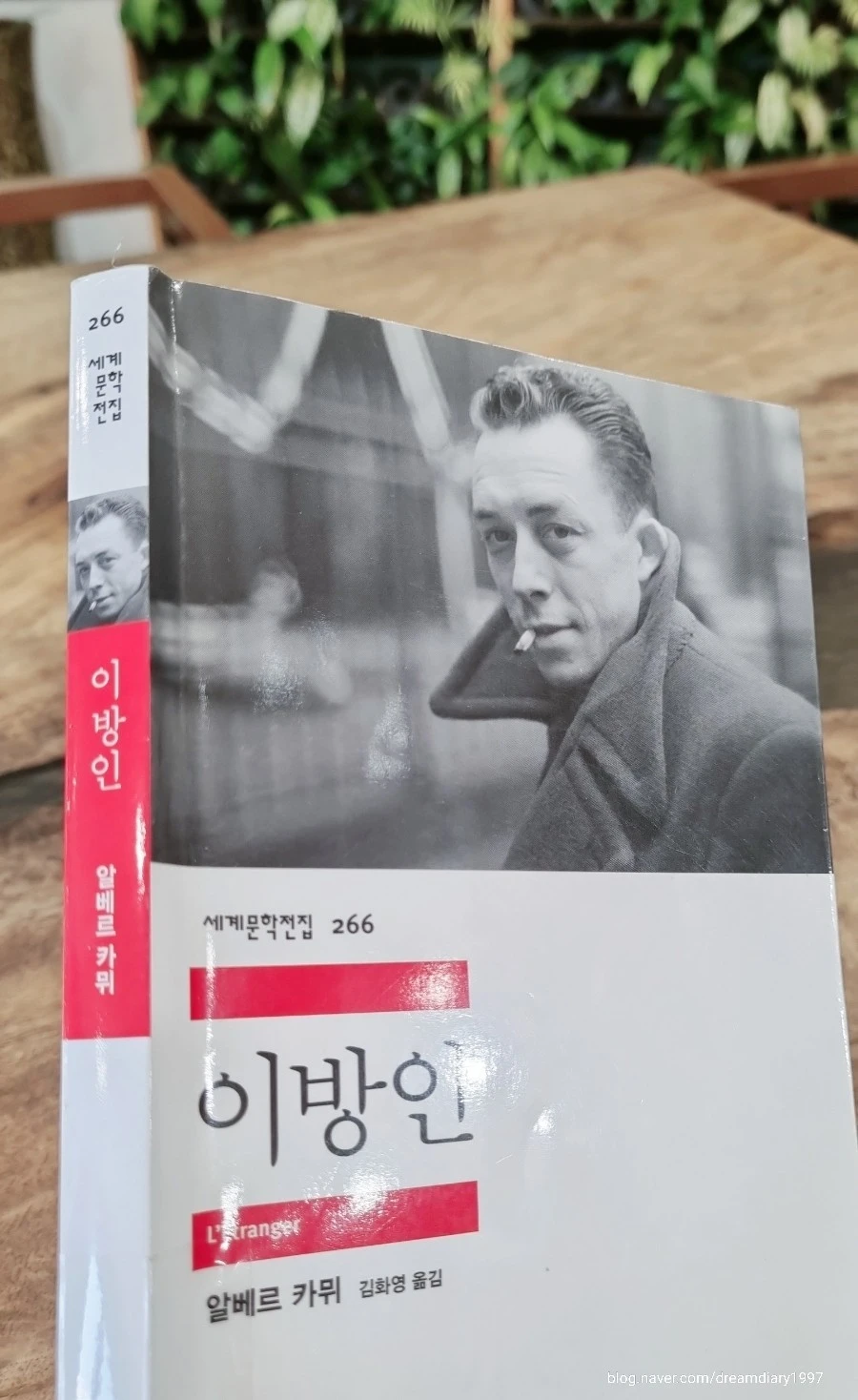 1701846816150.jpg?type=w1