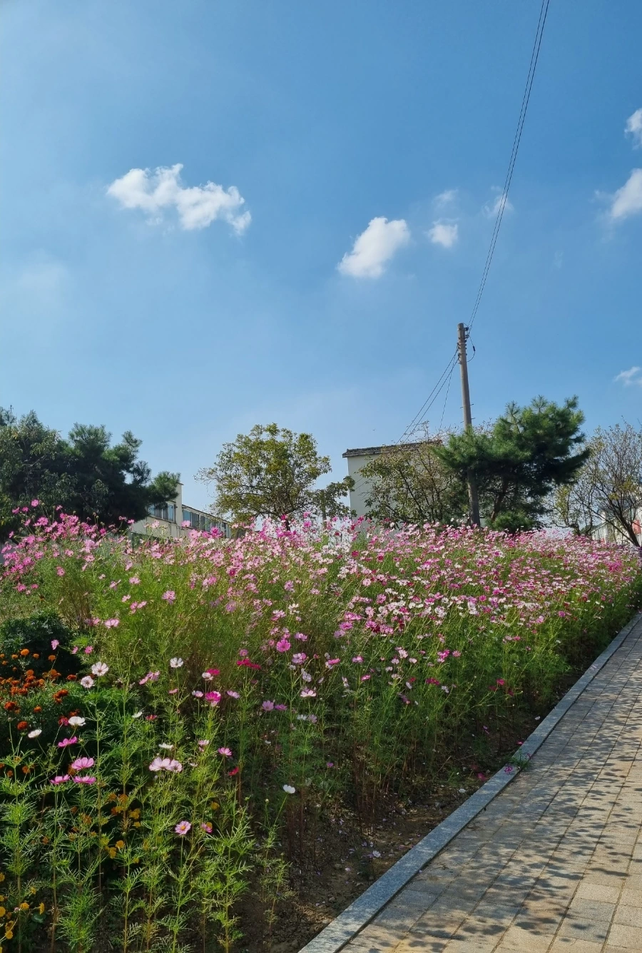 1697181064233.jpg?type=w1