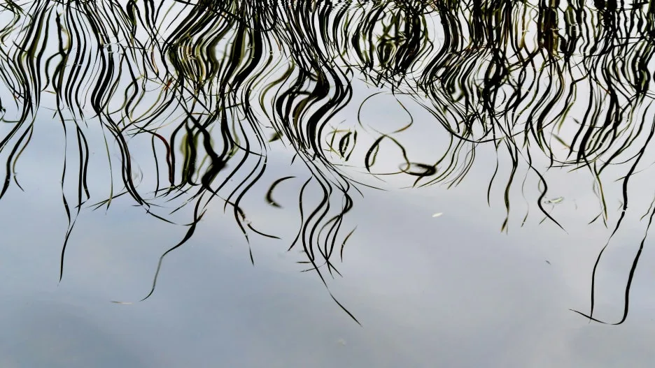 3359a62eee362009cb00b685ad03b3ae47cd0f54.jpg?type=w1