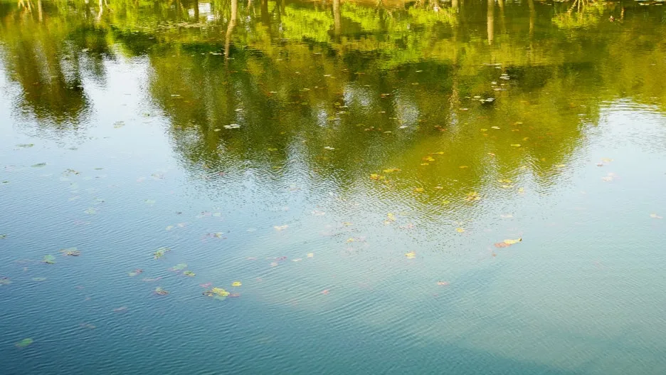 %EB%84%88%EC%9D%98%ED%8E%B8%EC%A7%80-%EB%B0%95%EC%A3%BC%EC%98%81-%EB%94%94%EC%B9%B4%EC%8B%9C%EC%A7%91.jpg?type=w1