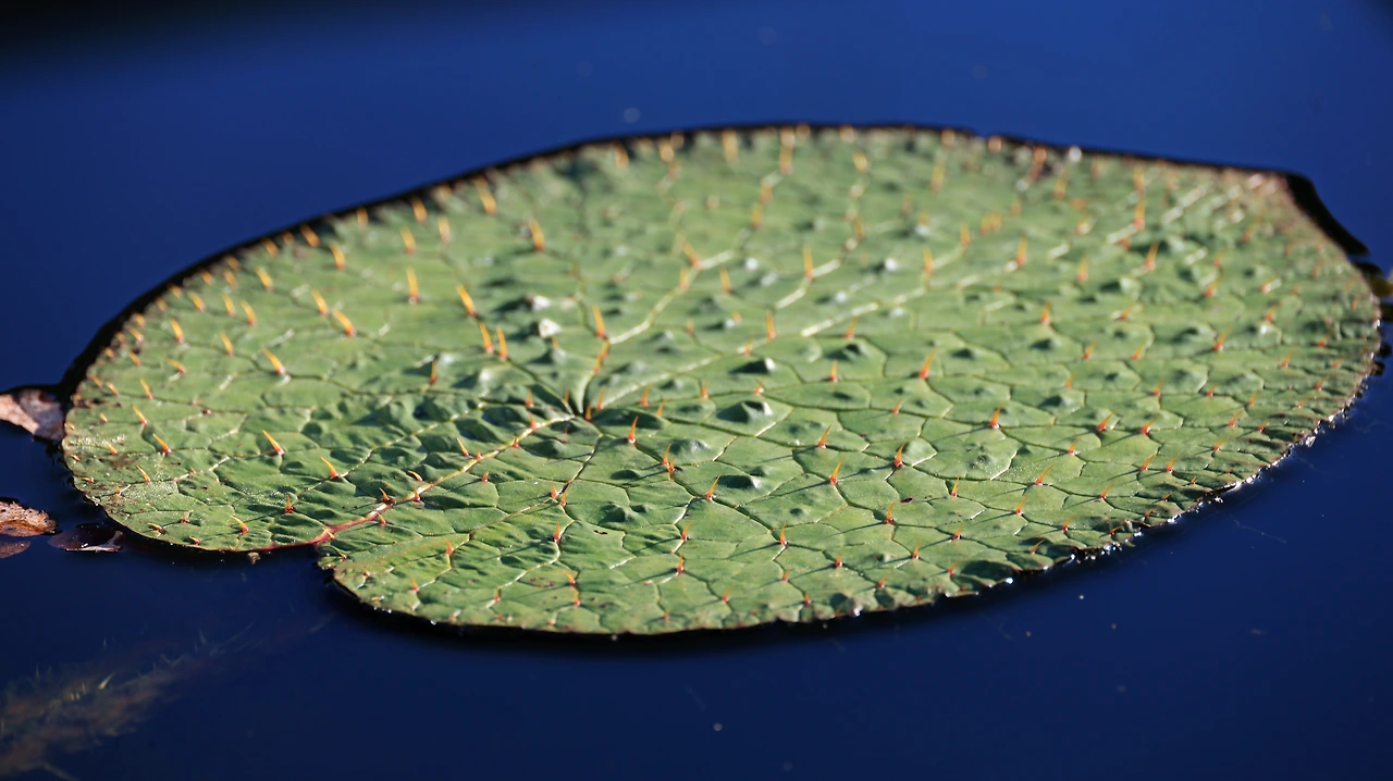 시간의 약-박주영2.JPG