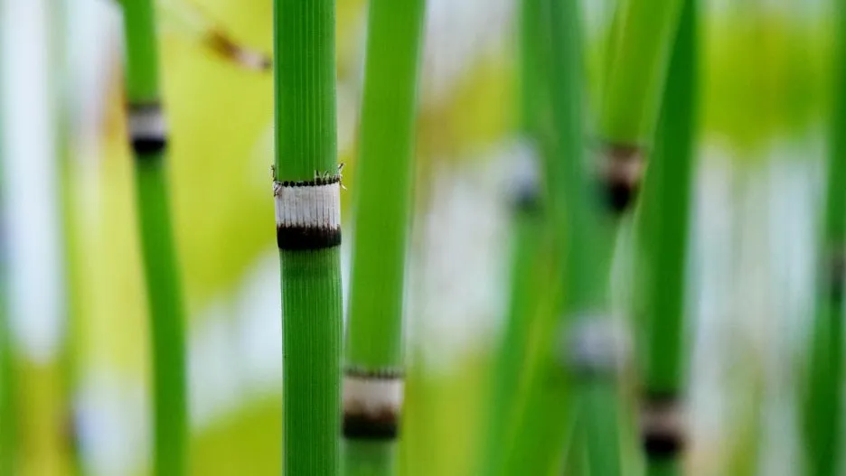 %EB%A7%88%EB%94%94%EC%97%86%EB%8A%94%EC%83%9D%EC%9D%B4%EC%9E%88%EC%9C%BC%EB%9E%B4-%EB%B0%95%EC%A3%BC%EC%98%81_%EB%94%94%EC%B9%B4%EC%A7%91.jpg?type=w1