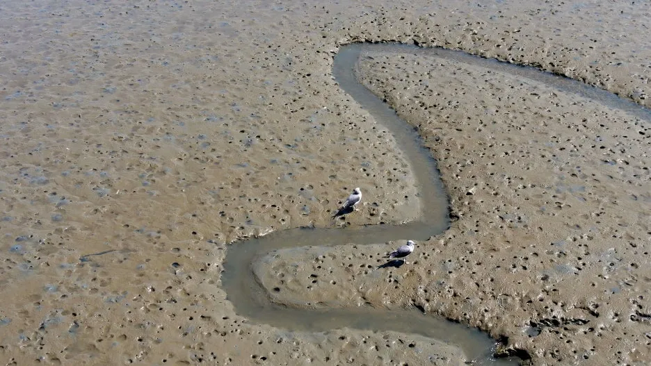 %EB%8F%85%EB%B0%B1-%EB%B0%95%EC%A3%BC%EC%98%81-%EB%94%94%EC%B9%B4%EC%8B%9C%EC%A7%91.jpg?type=w1