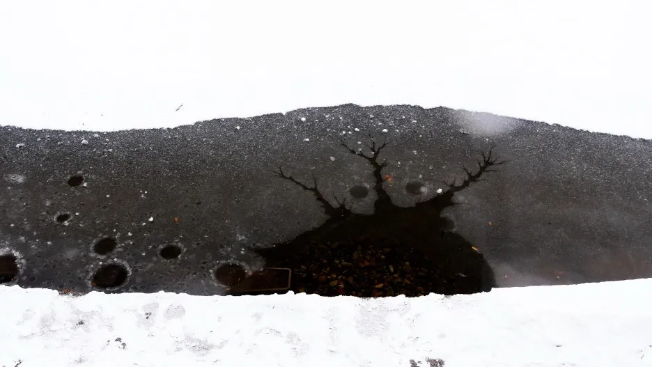 %EC%96%B4%EB%A8%B8%EB%8B%88-%EB%B0%95%EC%A3%BC%EC%98%81-%EB%94%94%EC%B9%B4%EC%8B%9C%EC%A7%91.jpg?type=w1