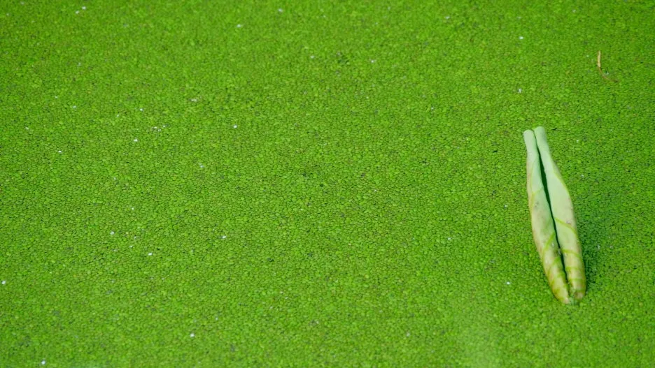 20210819-P2088468.jpg?type=w1