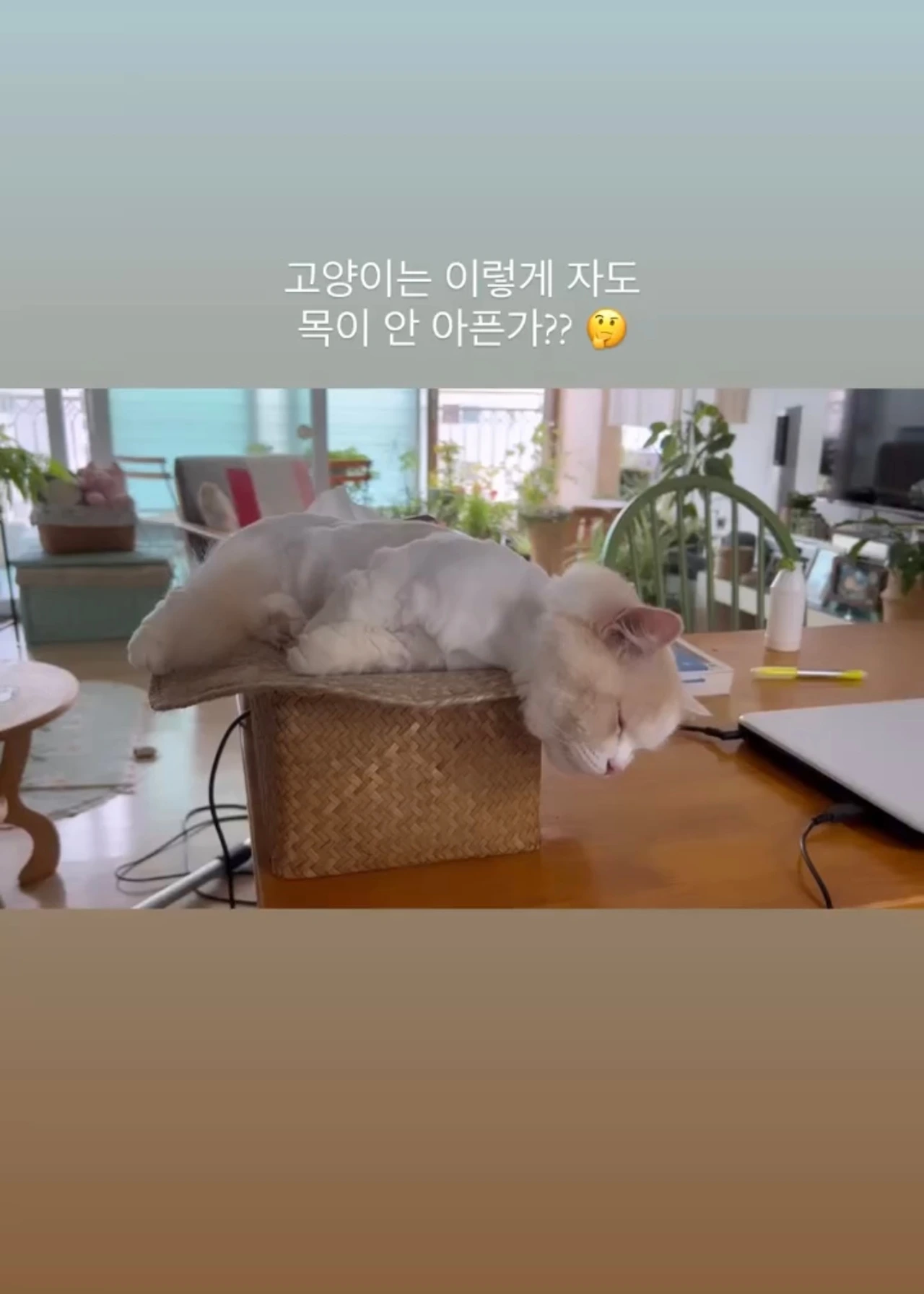 KakaoTalk_Photo_2025-03-07-12-36-59 008.jpeg