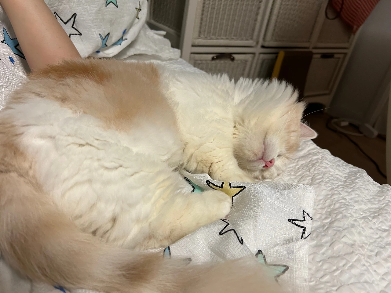 KakaoTalk_Photo_2025-03-15-16-08-46 001.jpeg