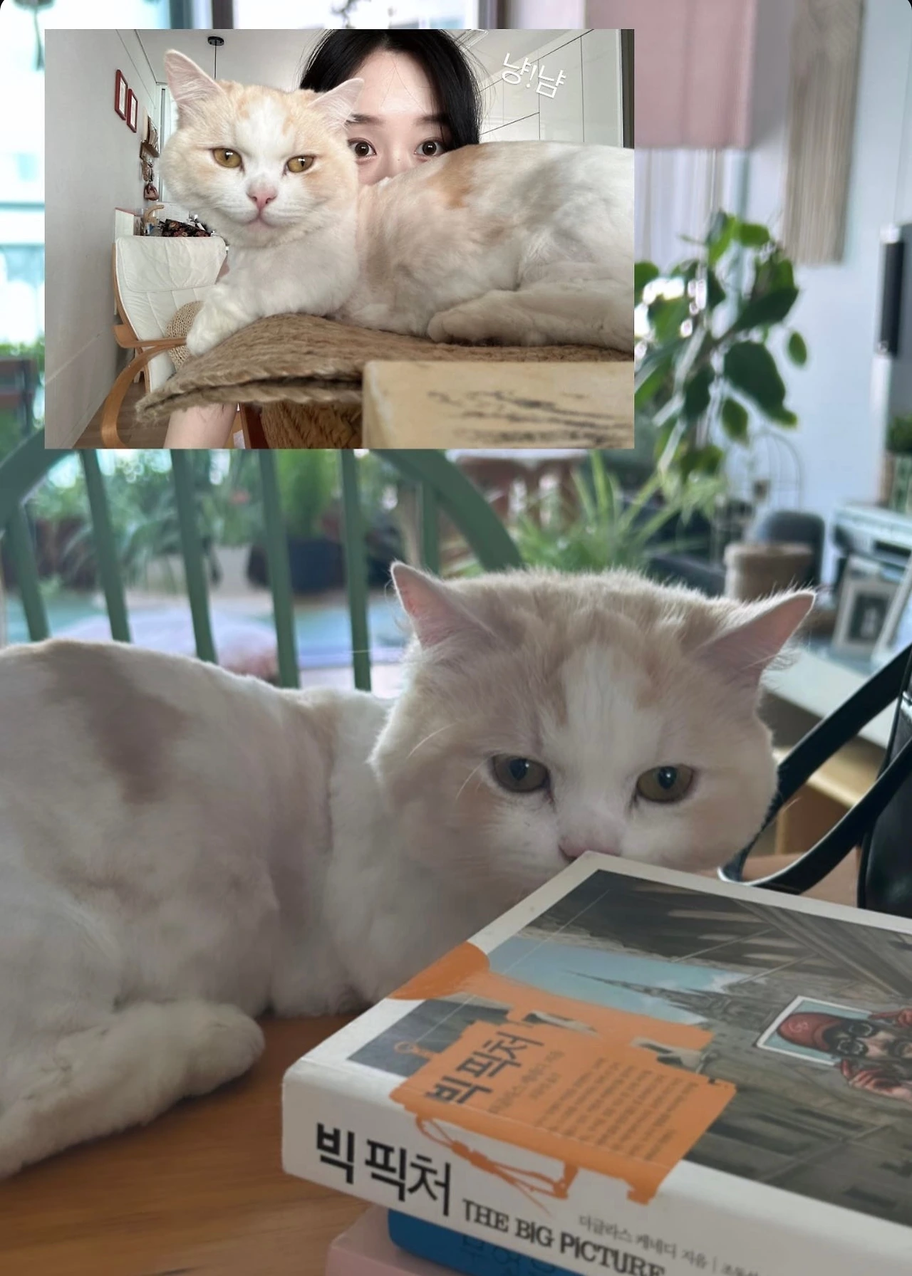 KakaoTalk_Photo_2025-03-07-12-36-58 006.jpeg