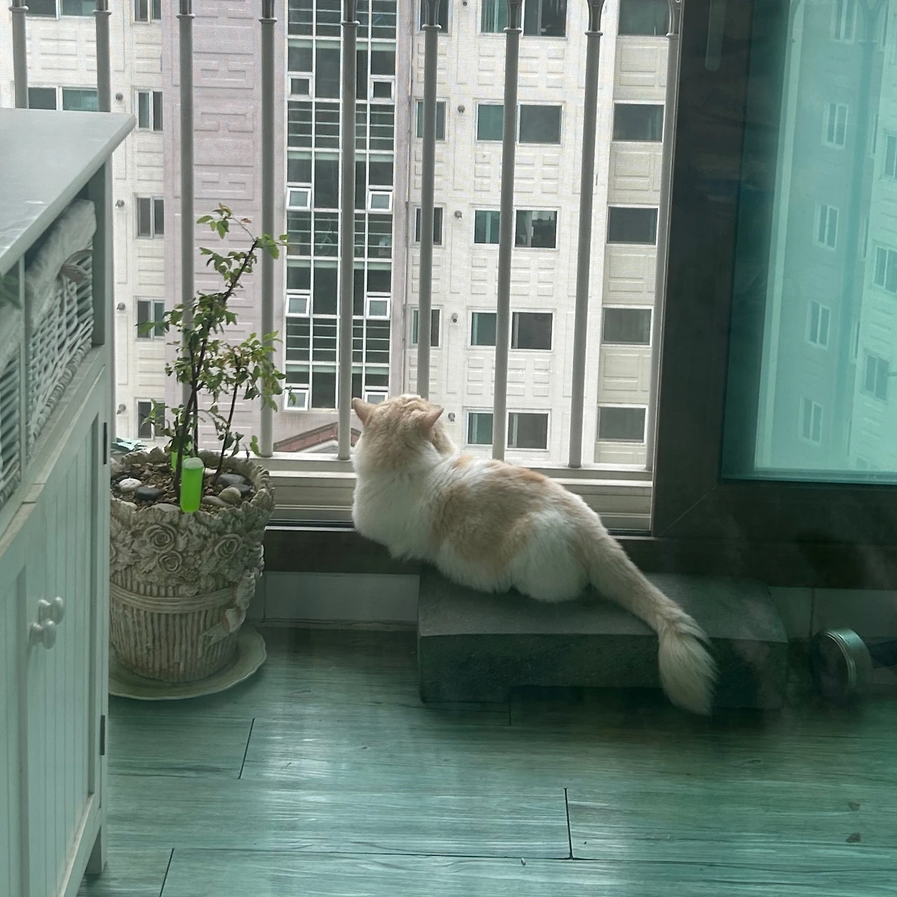 KakaoTalk_Photo_2025-03-15-16-08-49 005.jpeg