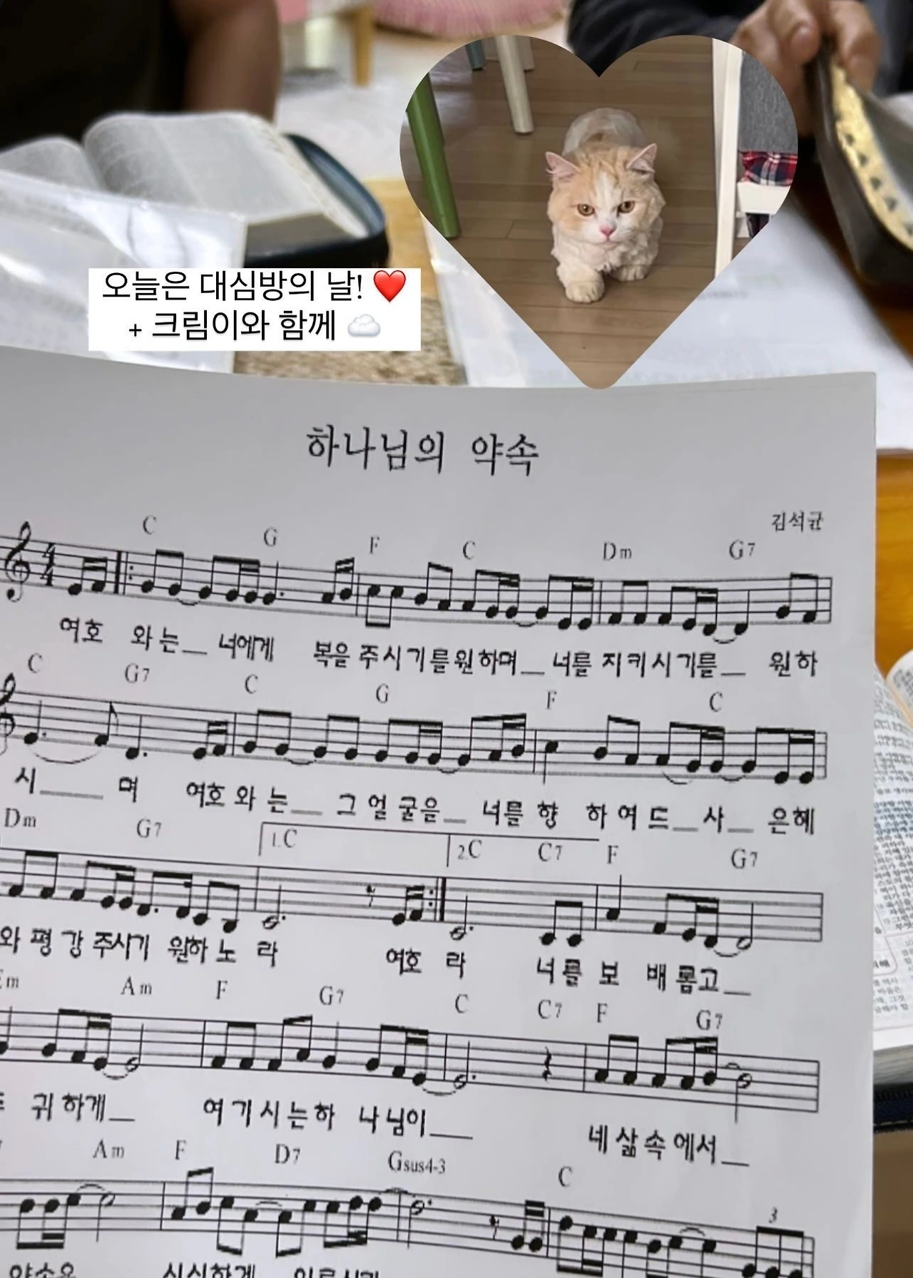 KakaoTalk_Photo_2025-03-07-12-36-57 003.jpeg