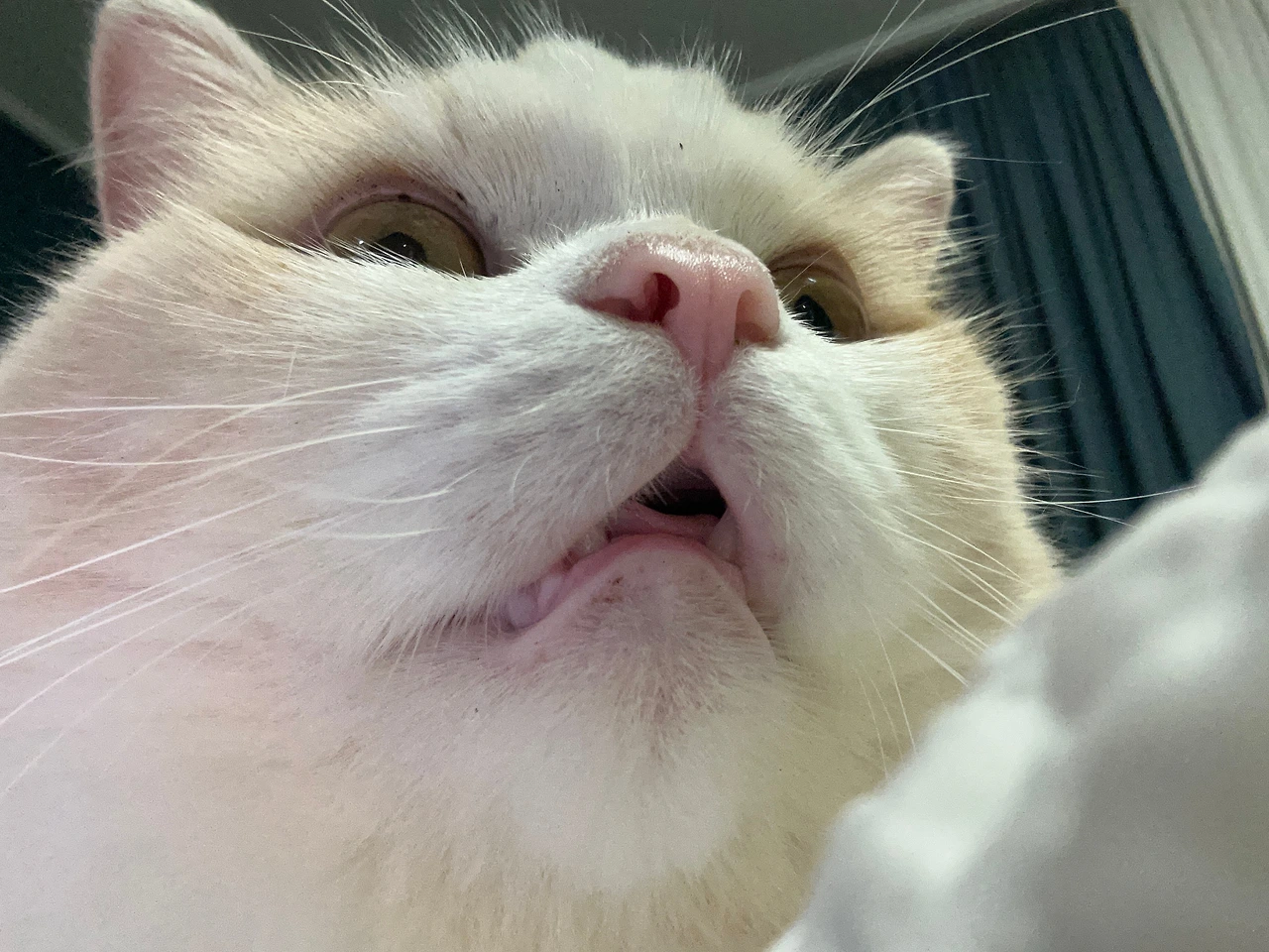 KakaoTalk_Photo_2025-03-15-16-08-52 007.jpeg