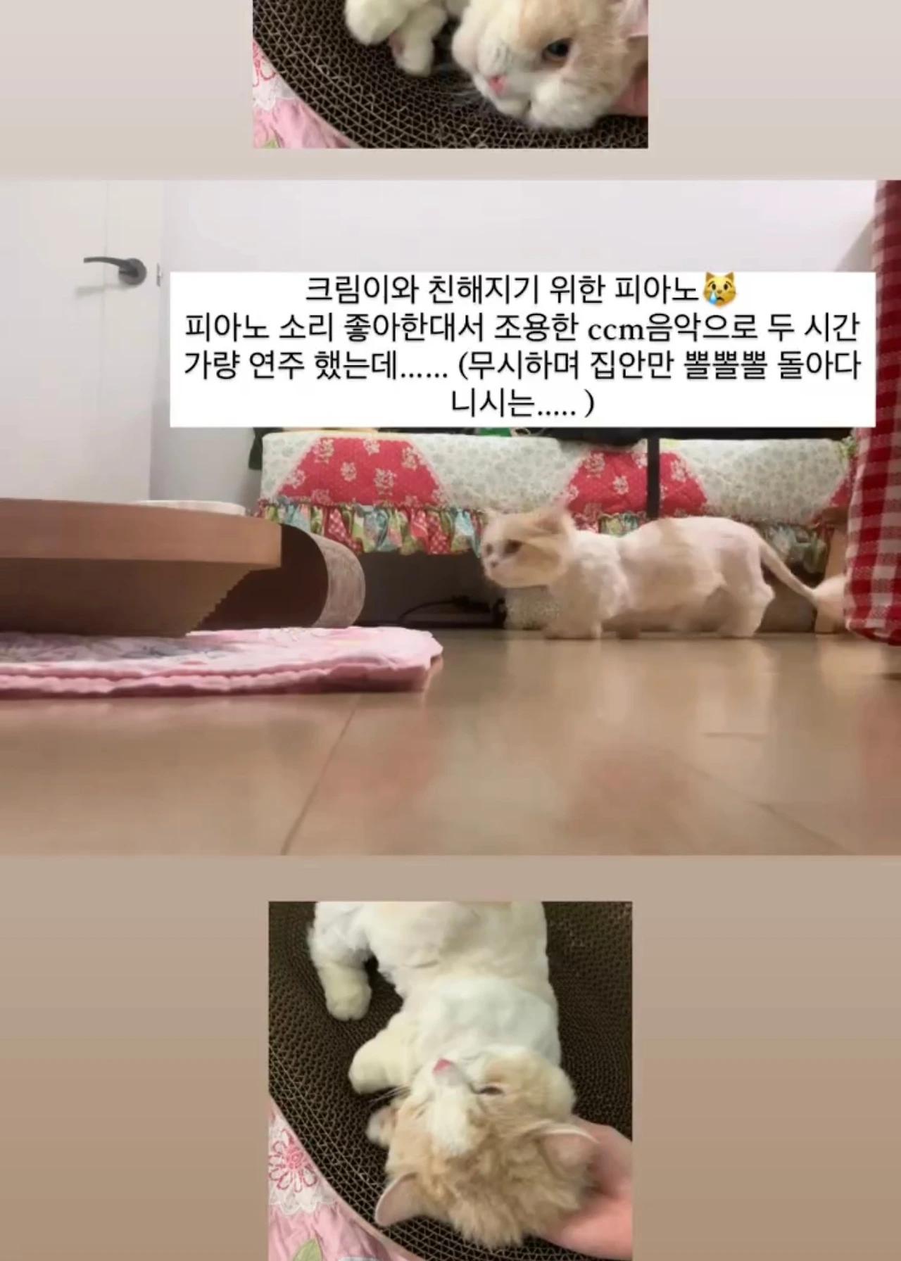 KakaoTalk_Photo_2025-03-07-12-36-58 004.jpeg