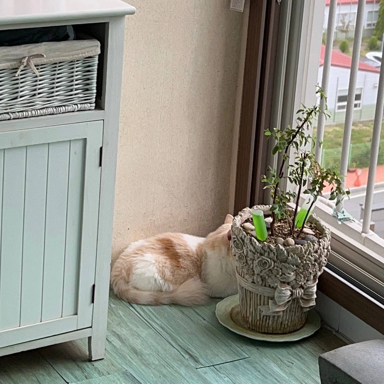 KakaoTalk_Photo_2025-03-15-16-08-48 004.jpeg