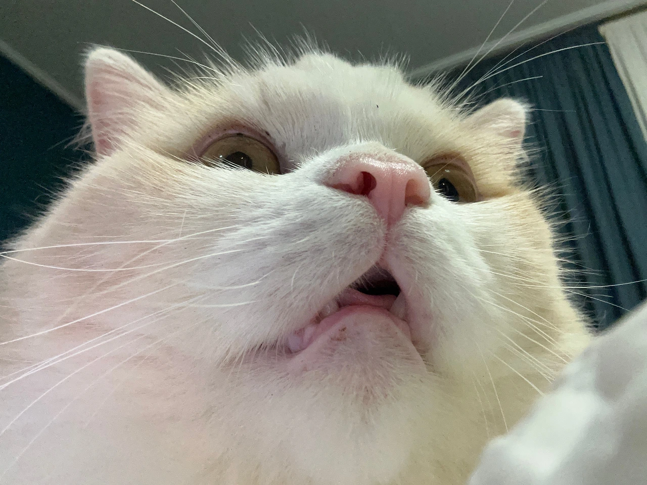 KakaoTalk_Photo_2025-03-15-16-08-53 008.jpeg