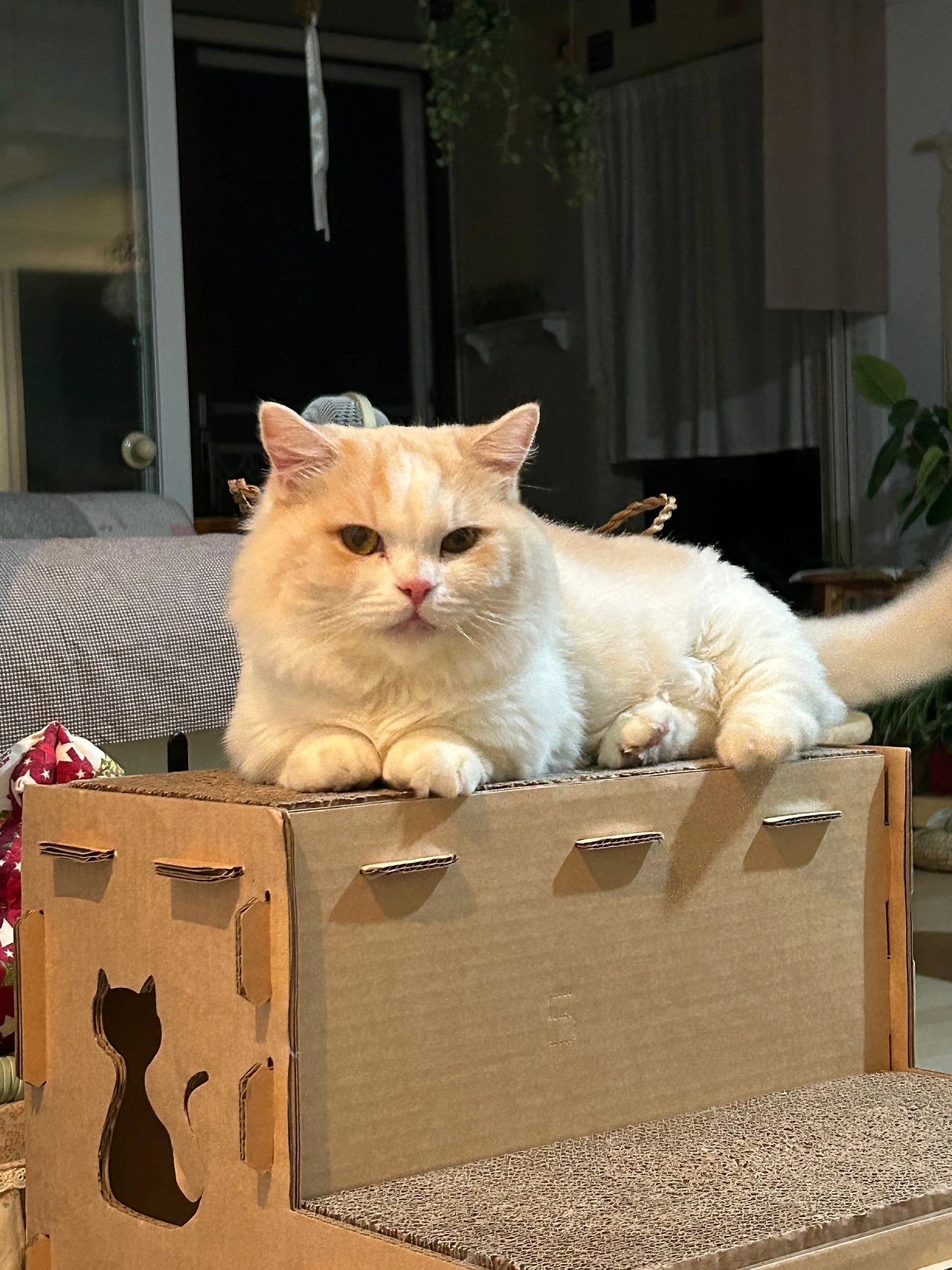 KakaoTalk_Photo_2025-03-15-16-08-56 010.jpeg