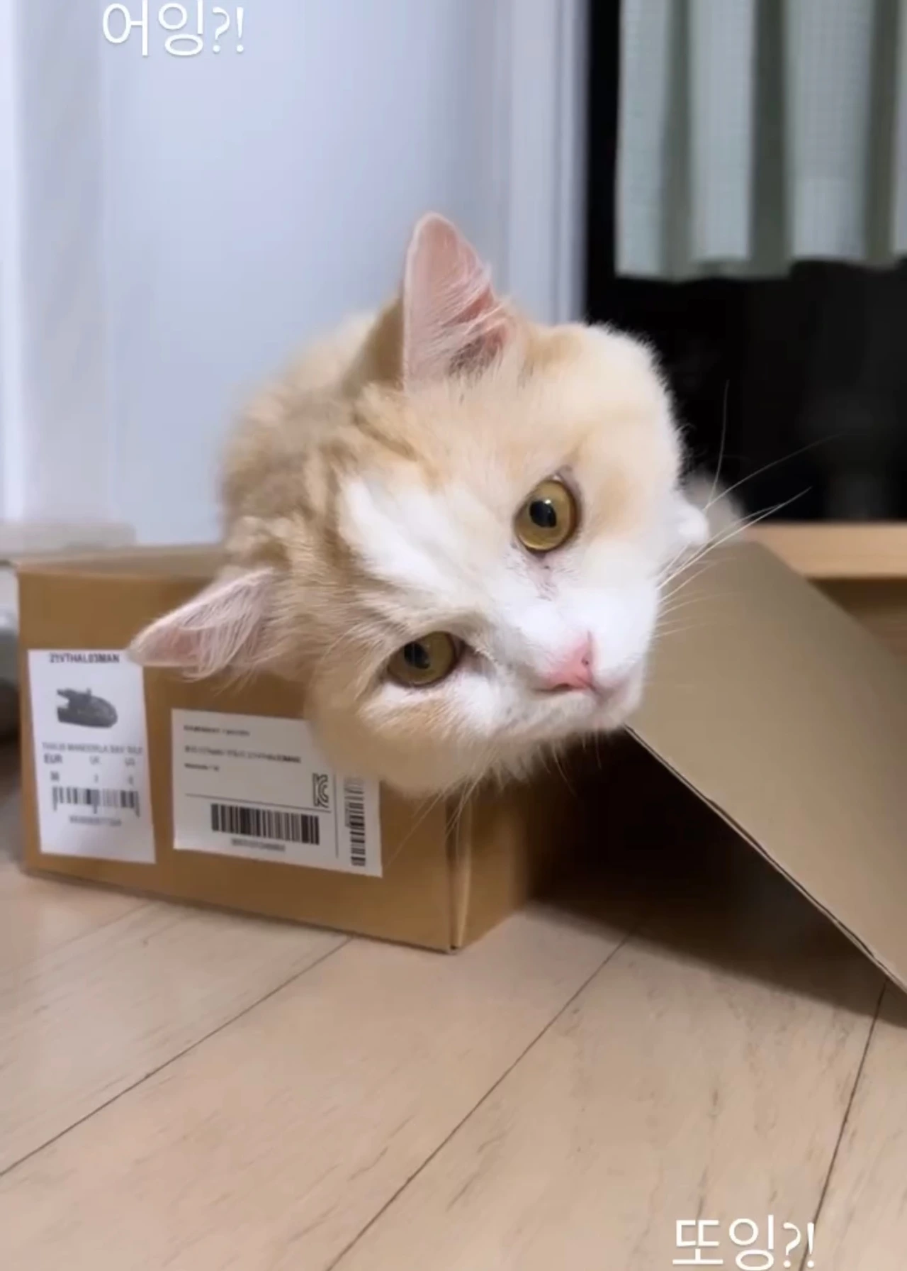 KakaoTalk_Photo_2025-03-07-12-37-00 010.jpeg