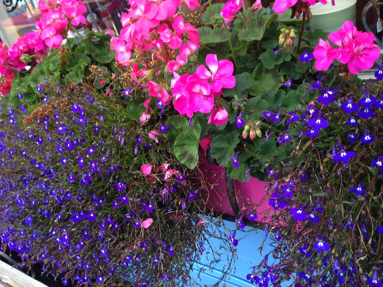 무슨 영광을 보갰다고 2.JPG