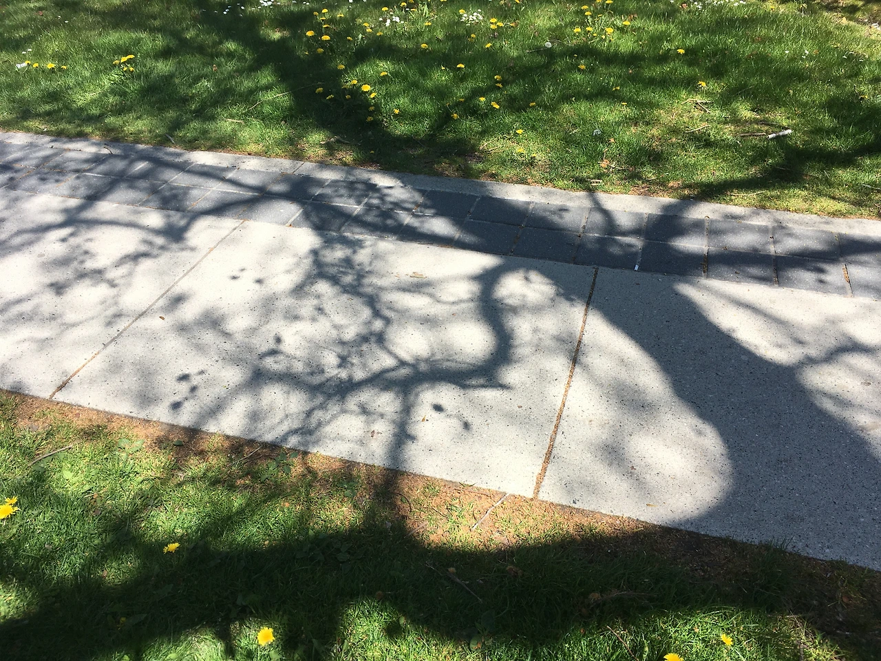 교실 밖 반성의 시간 2.JPG