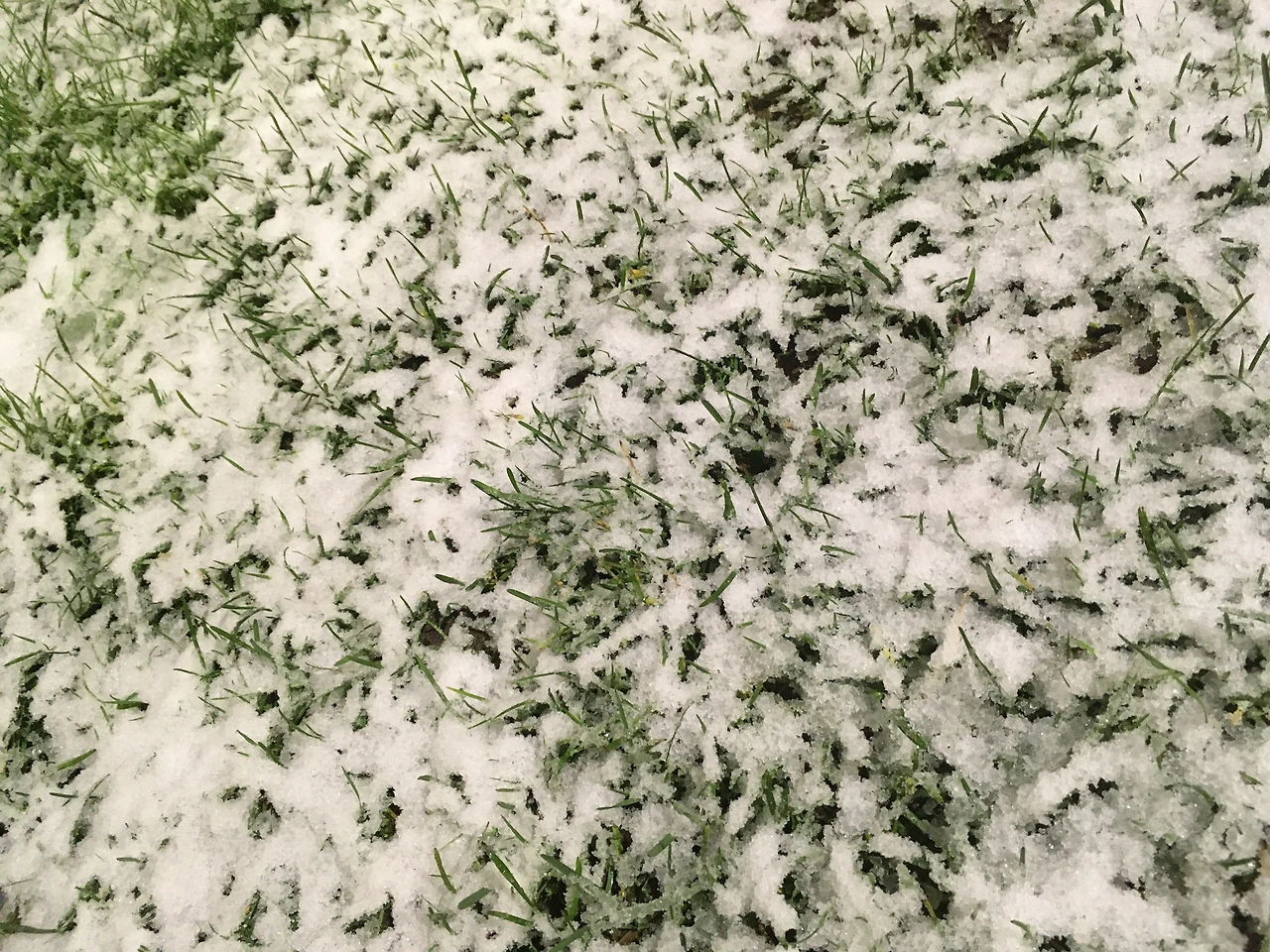 눈이 올까요 3.JPG