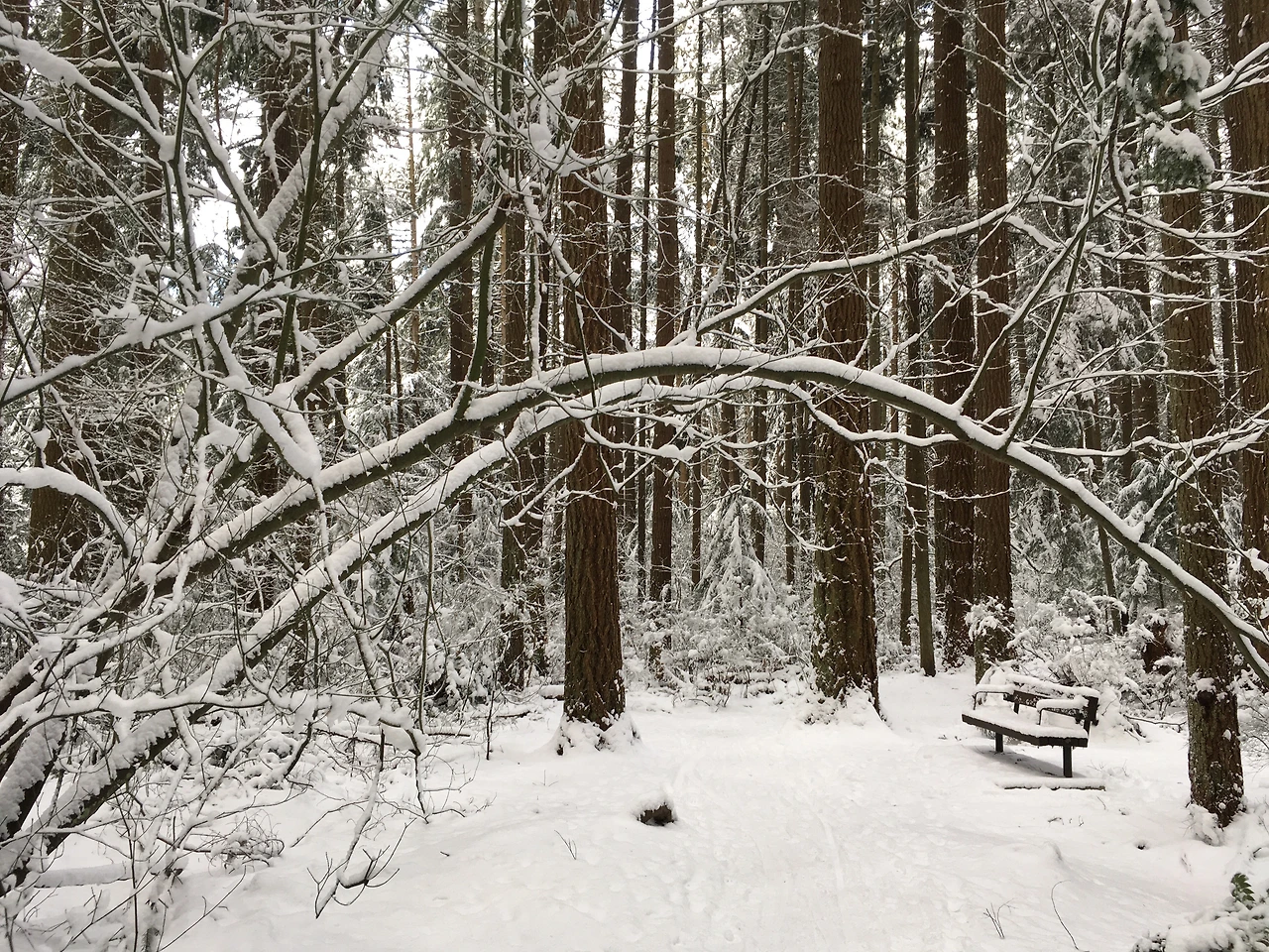 외로운 예수 3.JPG