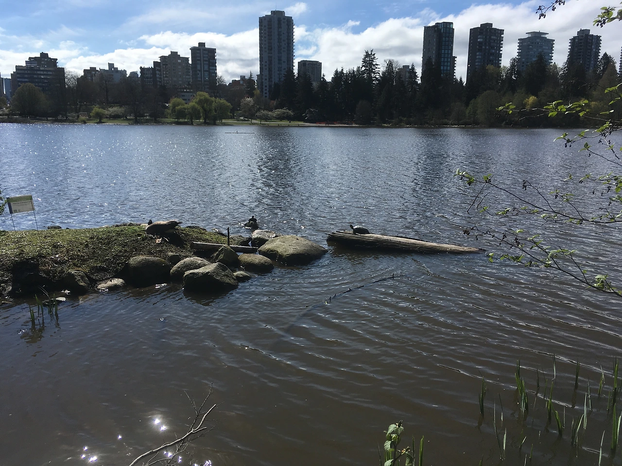 빈곤한 상상력.JPG