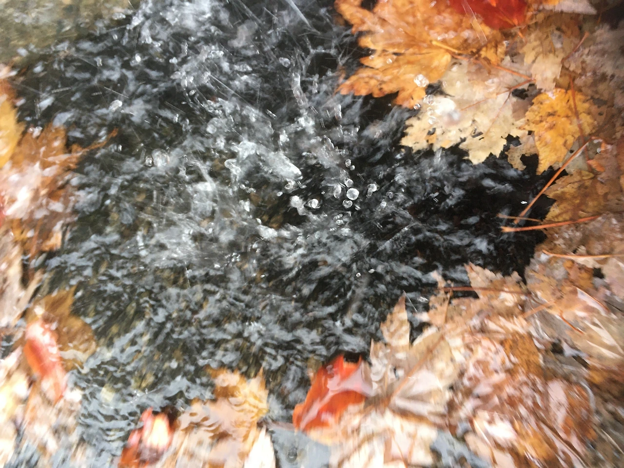 비 오는 날 3.JPG