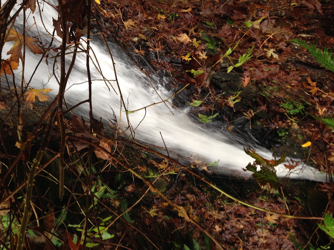 참 다행이다 난 2.JPG