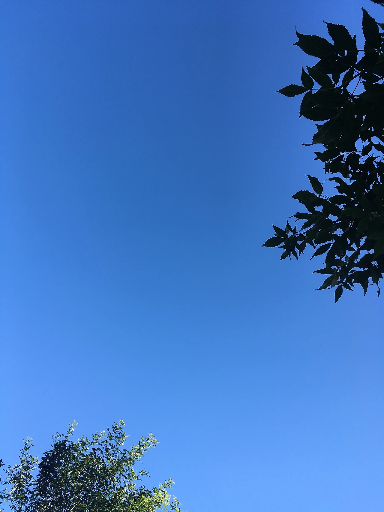 빈 무대 풍경 2-1.JPG