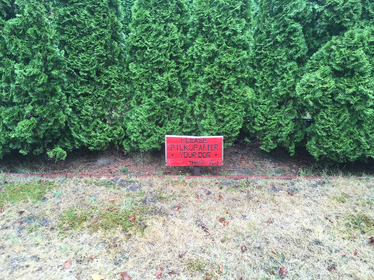 pick up after your dog 1.JPG