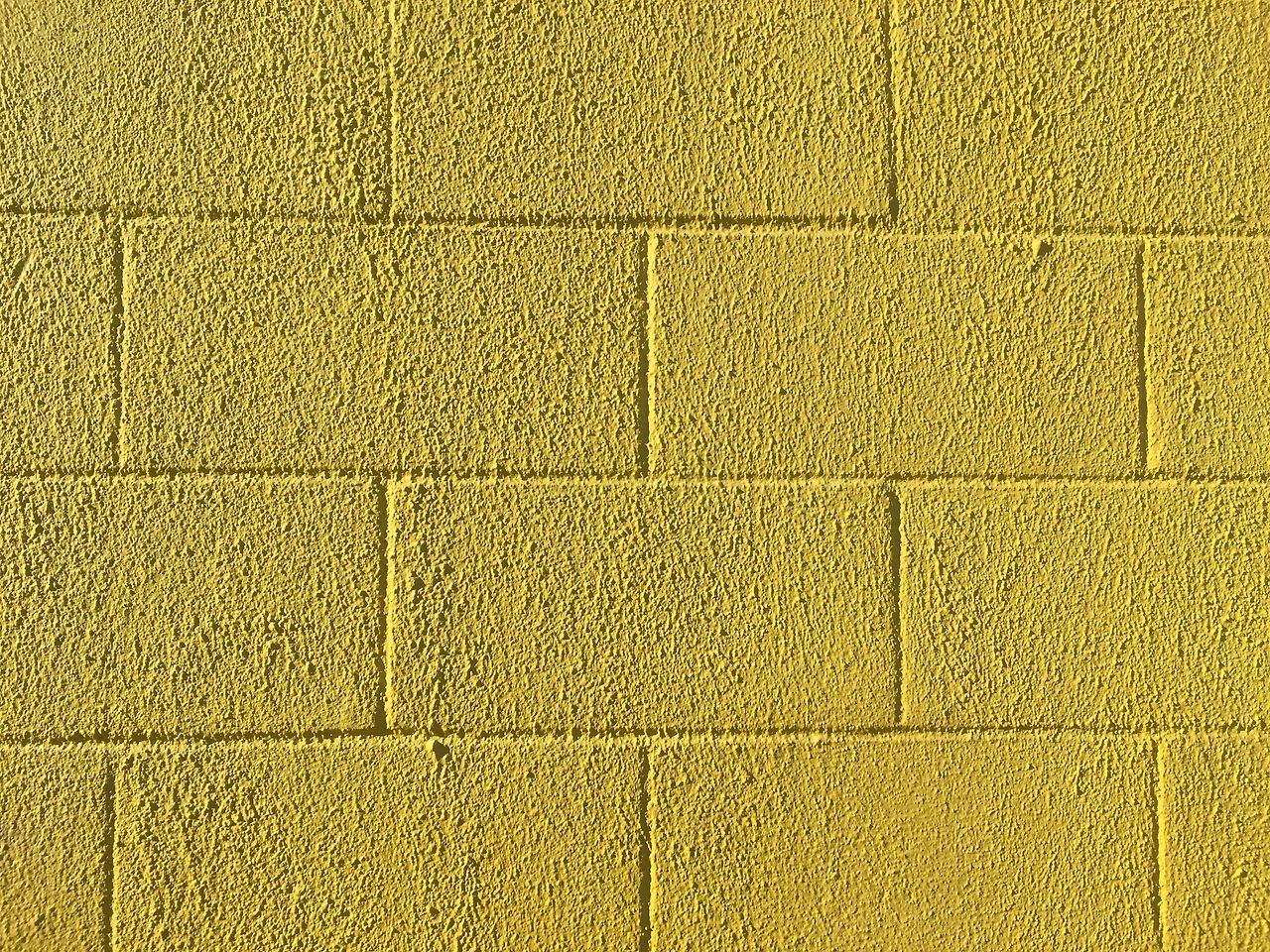 규칙적인 사랑 1.JPG