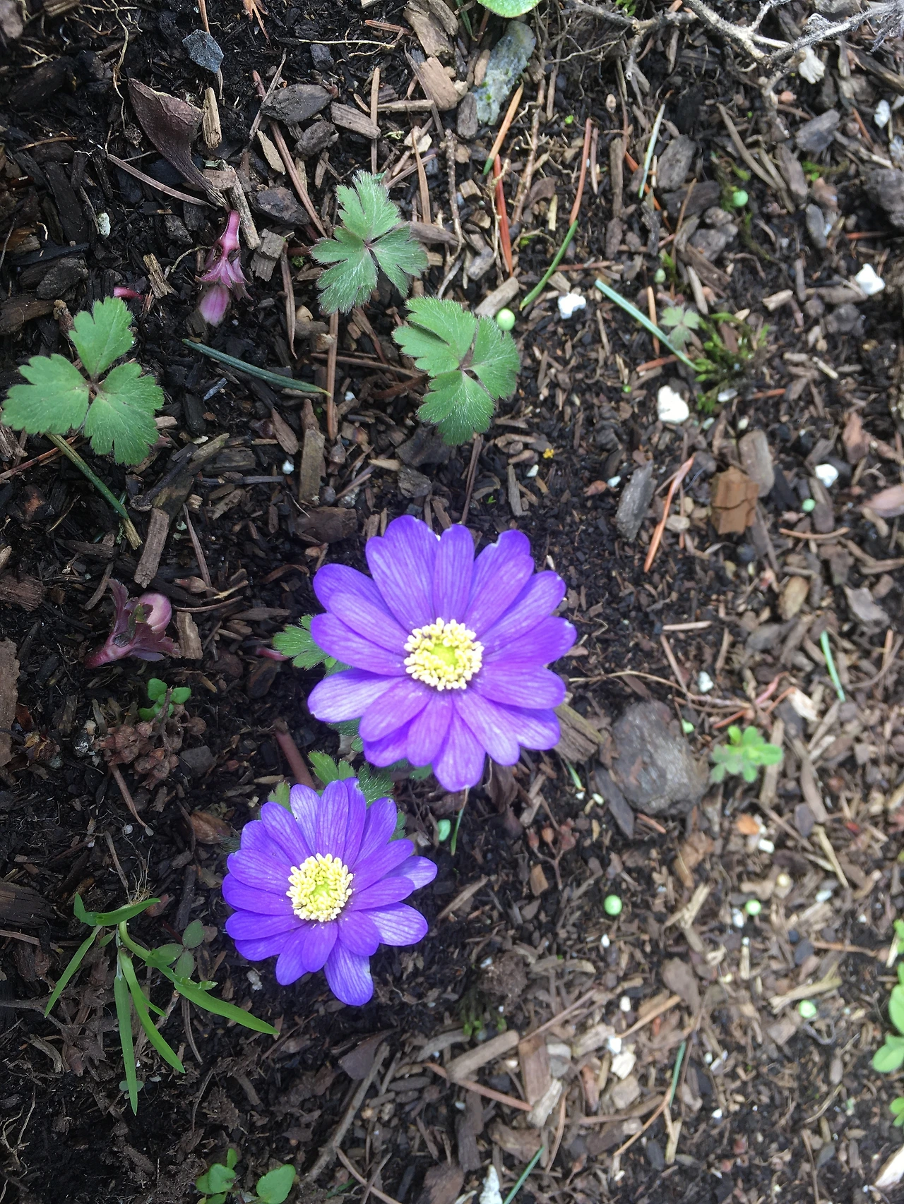 그리스도의 향기 2.JPG