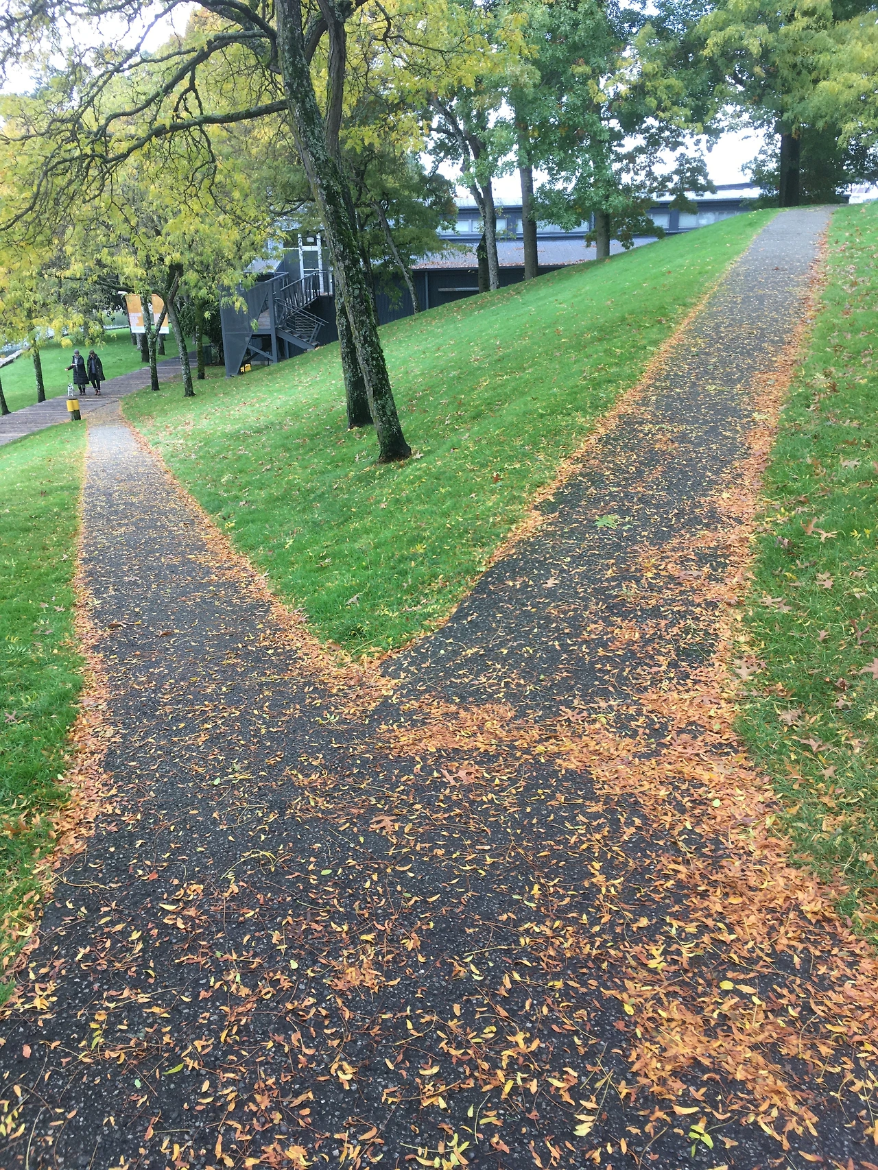 두 개의 길 1.JPG