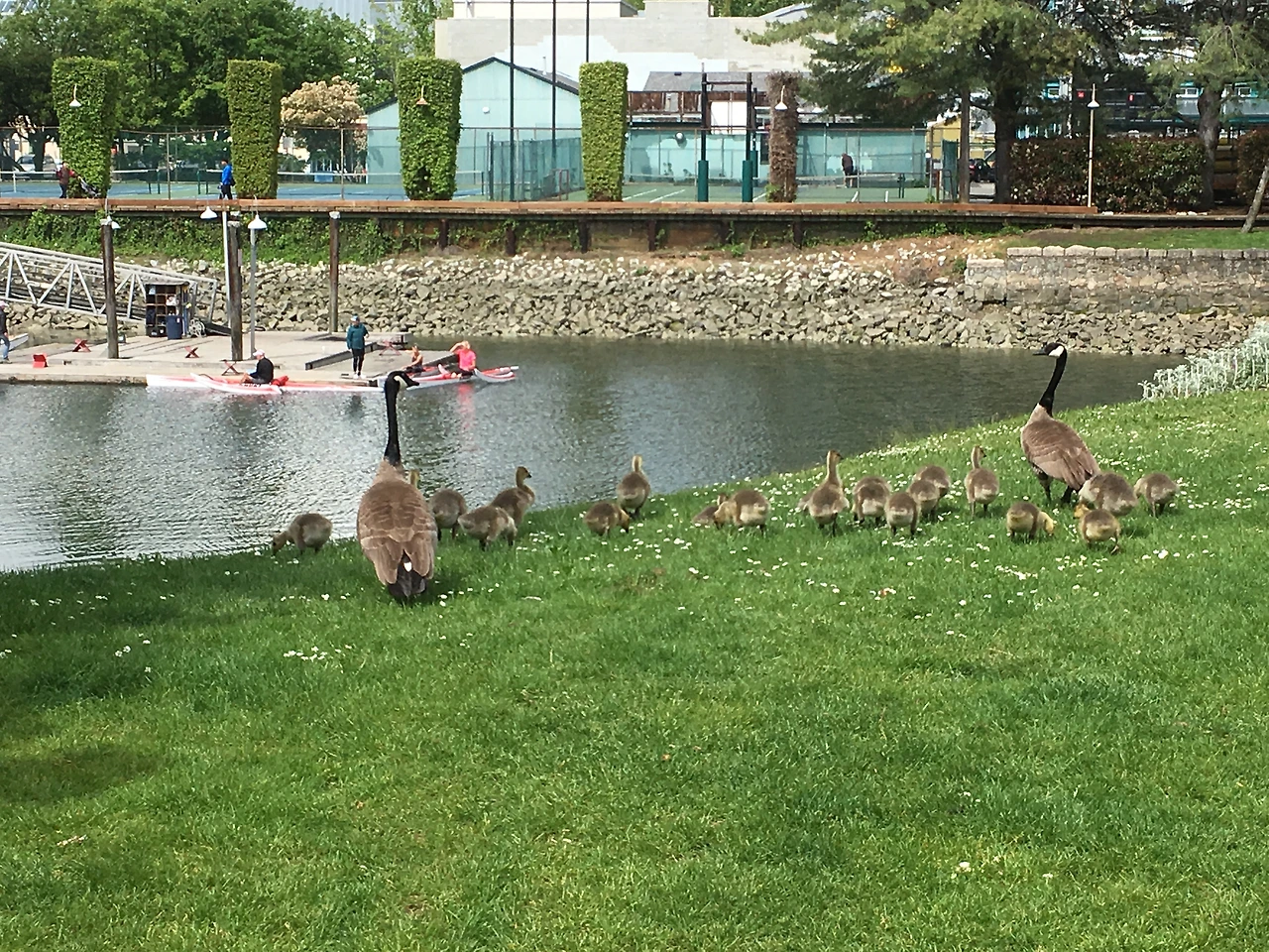 새로운 가족의 탄생 2.JPG