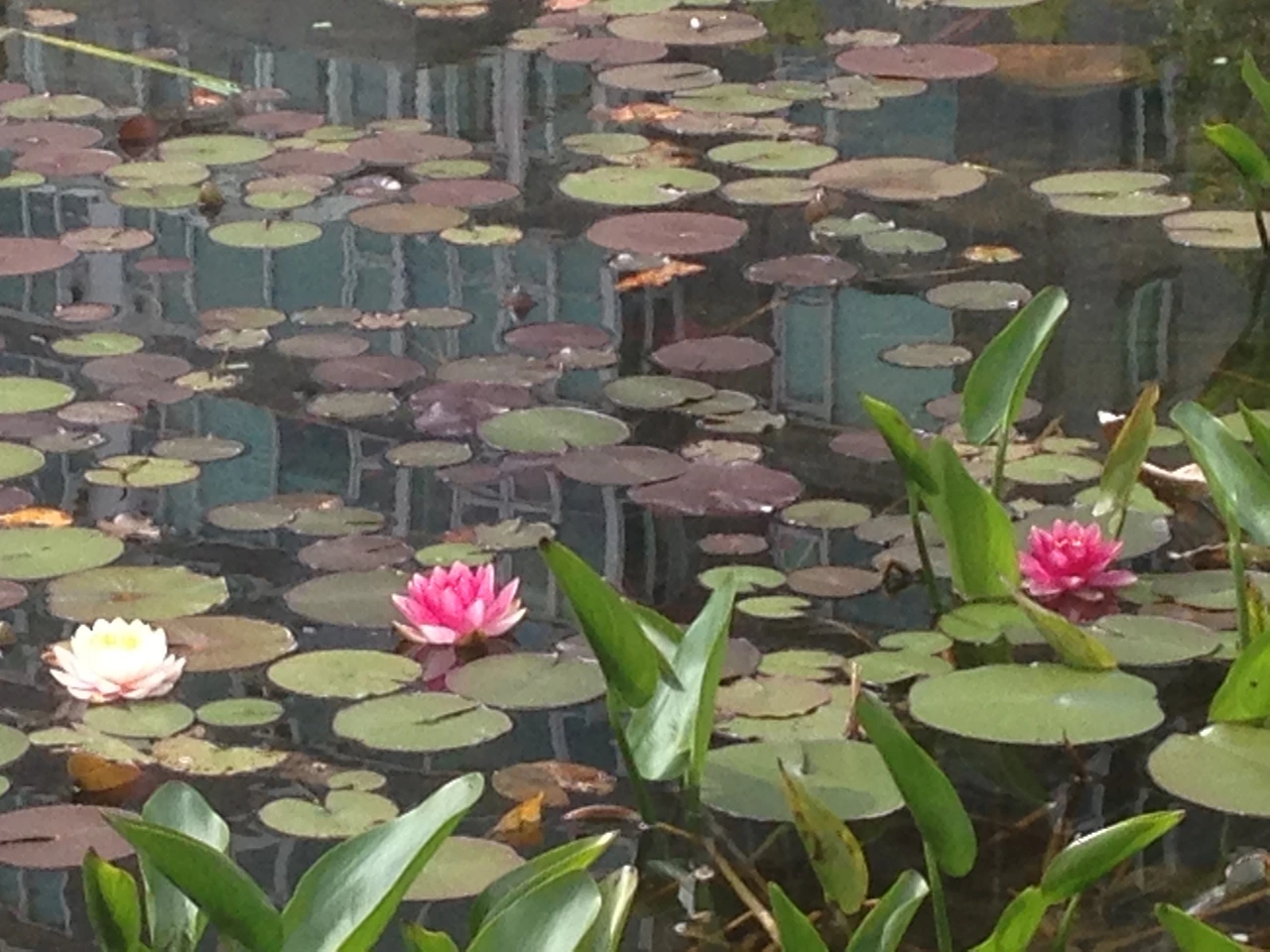 누가 나를 넣어줄까 2.JPG