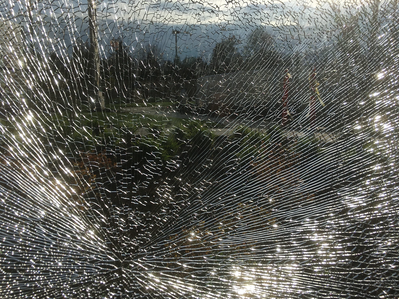 집 나간 자식 1.JPG